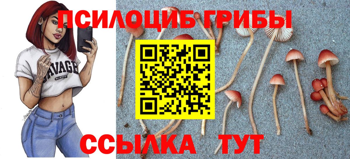 Псилоцибиновые грибы прущие грибы Ялта